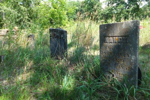 Dunlop family cemetery near Mazomanie, WI